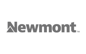 Logo de Nemont - cliente de Maper