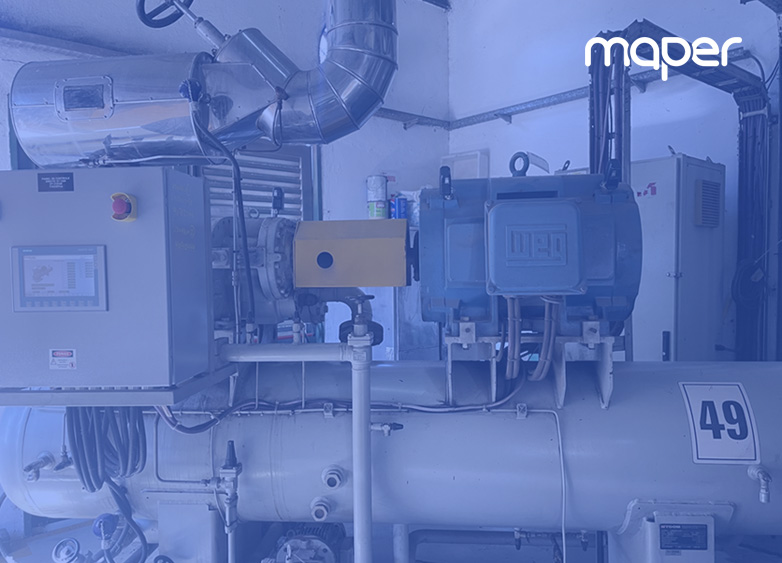 Rav en Mantenimiento